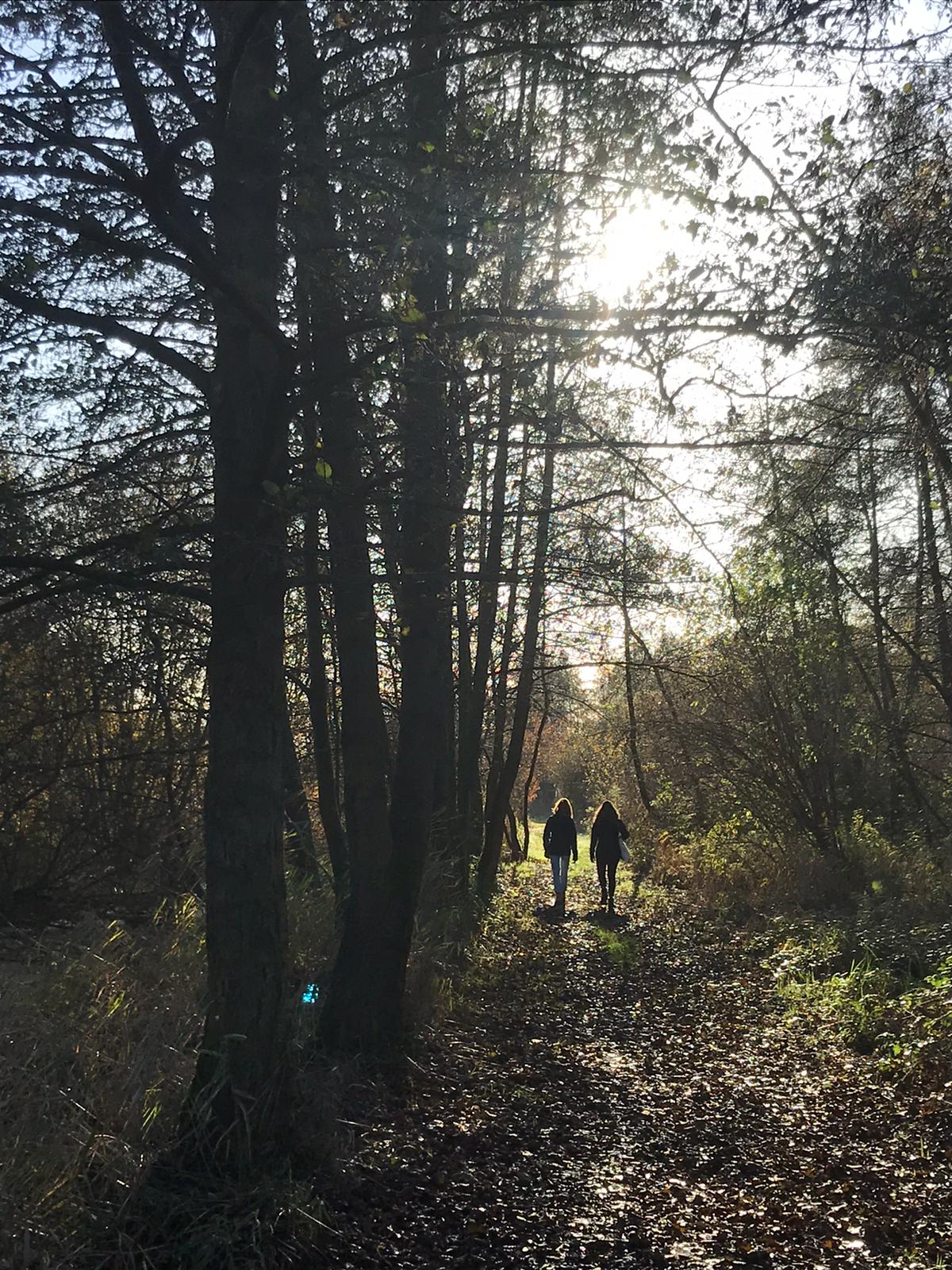 Two people walking down a leafy track in the woods