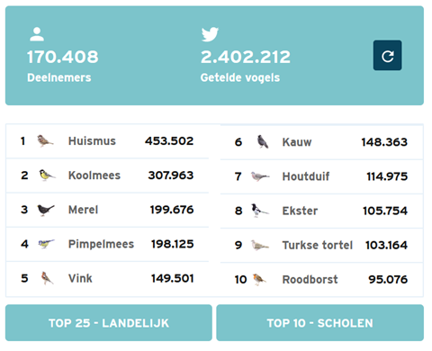 Table showing total numbers of birds spotted in the Netherlands: 170000 people recorded results and 2402212 birds were counted. The top three birds spotted were House Sparrows, Coal Tits and Blackbirds, in that order.