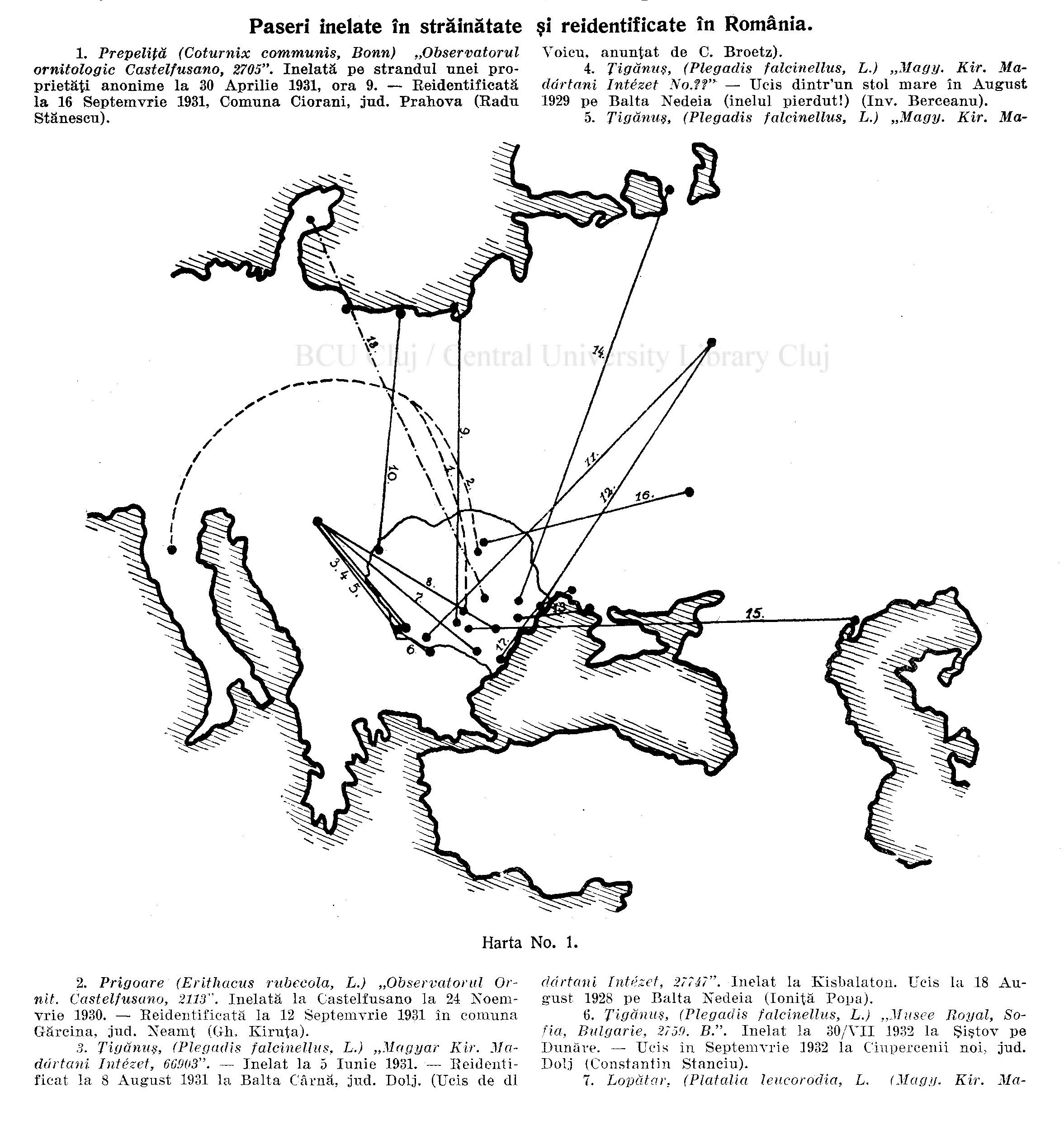 Birds ringed abroad and reidentified in Romania, map, Carpații, 1933