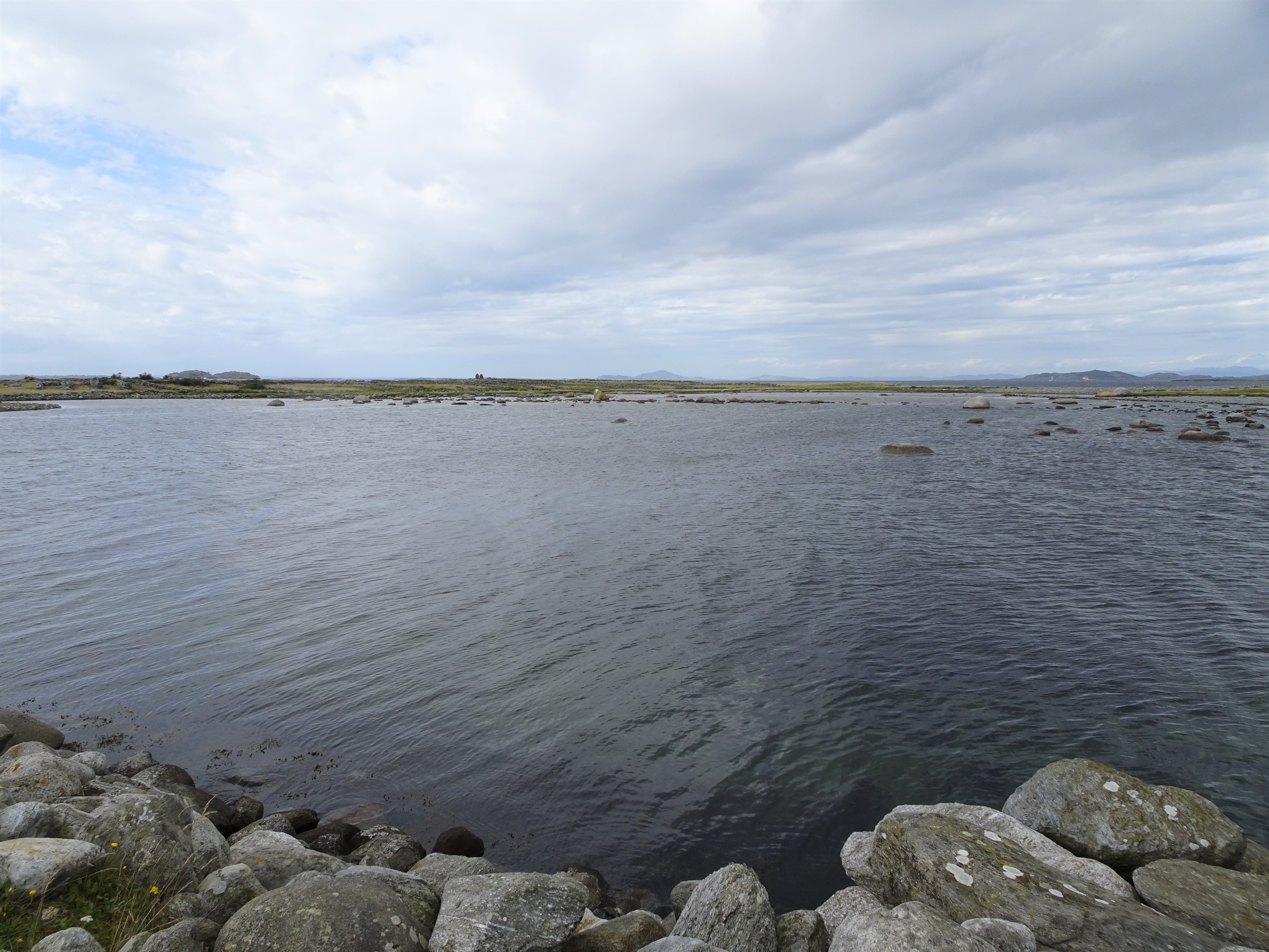 Børaunen at high tide
