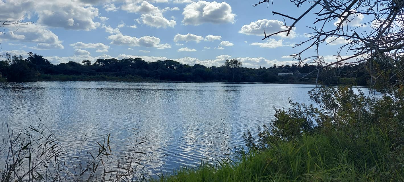 The View across a lake. The sky is blue with fluffy clouds and the lake is surrounded by woodland